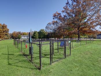 Dog park